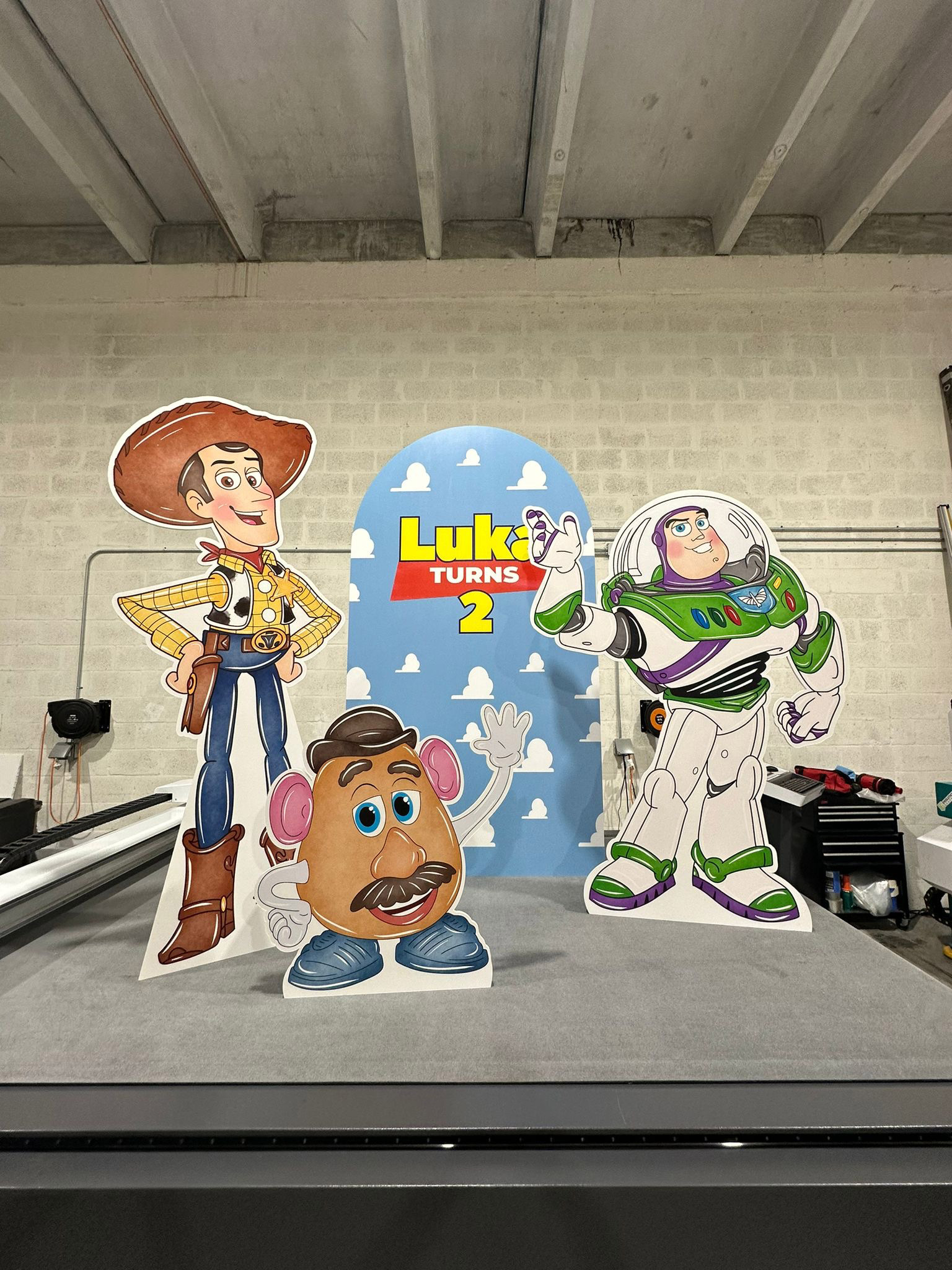 Toy Story Party Decorations Printing